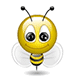 biene