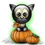 katze